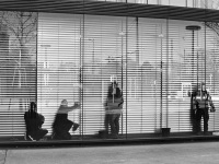 Men at Work, Vienna