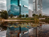 Reflections, Vienna