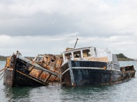 That Sinking Feeling, New Zealand