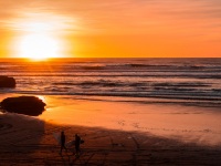 Surfers, Port Waikato
