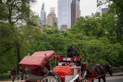 Central Park, New York