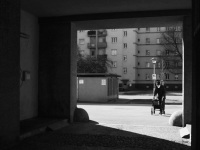 Covid Loneliness